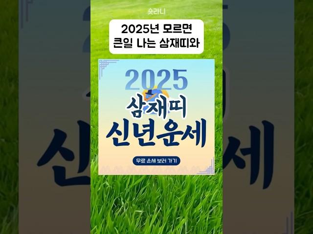 2025년 조심해야 할 삼재띠와 대박나는 띠별 신년운세