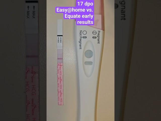 17 dpo live pregnancy test #baby #pregnancy #pregnancytest #pregnant #livepregnancytest #17dpo