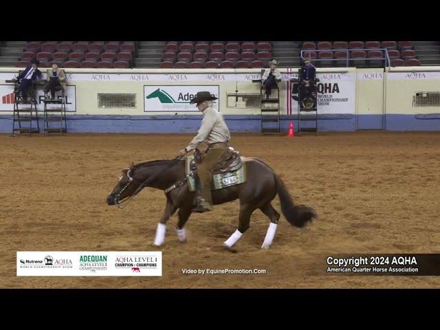 Select Reining - 2024 AQHA World Championship Show