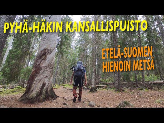 Etelä-Suomen hienoin metsä - Retki Pyhä-Häkin Kansallispuistoon