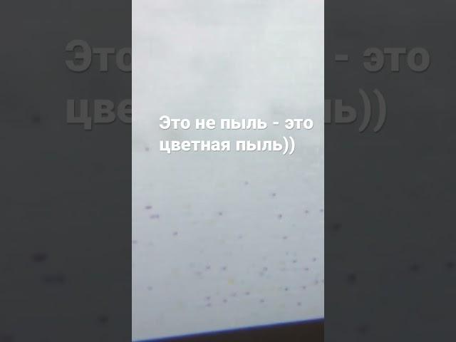 Неужели цветная пыль?