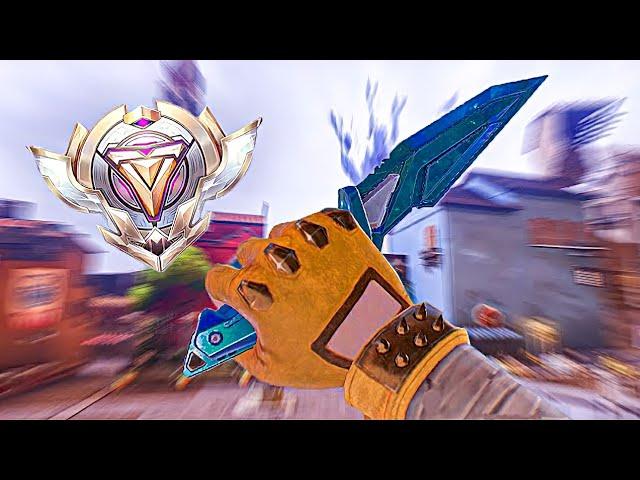 ROYALY | Hyper Front Highlights
