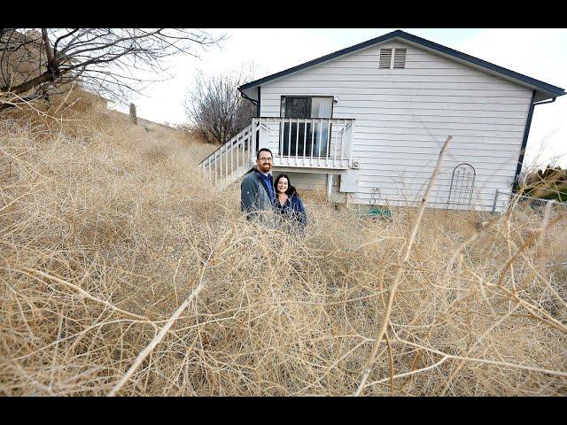 Tumbleweed mess invades Kennewick neighborhood