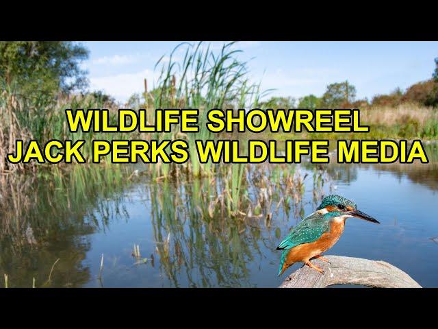 Wildlife Showreel - Jack Perks Wildlife Media