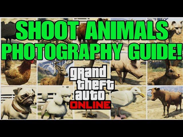 GTA Online: Shoot Animals Photography Guide! Guaranteed Spawn Locations!