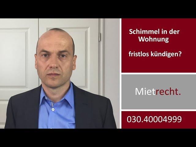 Schimmelpilz in der Mietwohnung - fristlos kündigen? | Fachanwalt Alexander Bredereck