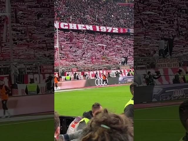 Südkurve München gegen die Borussia #fcbayern #stadionvlog