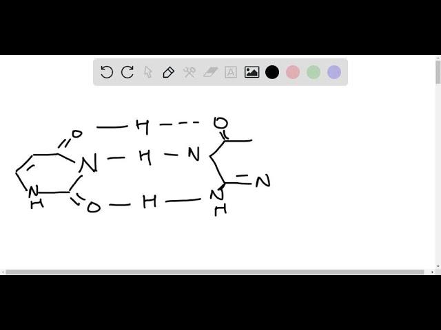 The base analog 5 -bromouracil (5 B U) which sterically resembles thymine, more readily undergoes t…