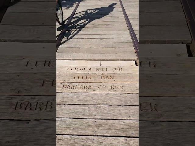 Magdeburg. Spacer po promenadzie nad Łabą.
