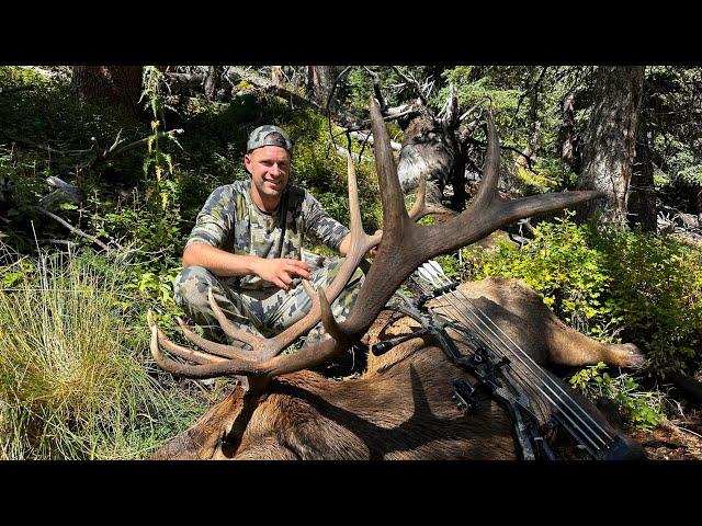 Before The Wolf!!! Colorado Archery Elk Hunt - Stuck N The Rut 194