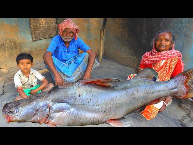 Big Size River Catfish Cooking Eating by santali tribal old couple