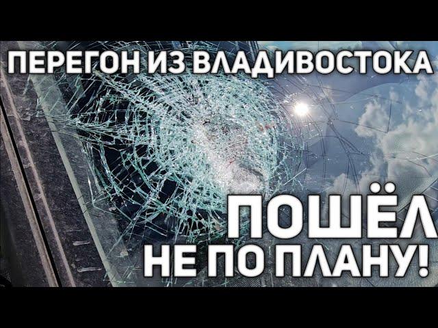 ЖЕСТЬ! САМОЕ СТРАШНОЕ В МОЁМ ПЕРЕГОНЕ(((