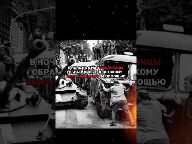 ПОСЛЕДНЯЯ БИТВА СССР С ГЕРМАНИЕЙ #история #россия #ссср #факты