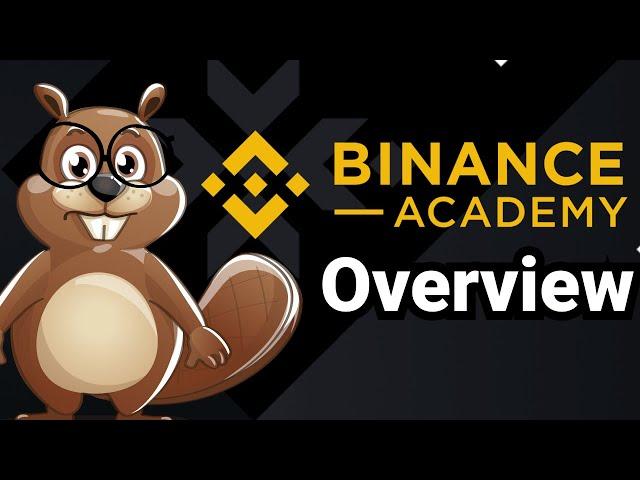 Binance Academy Overview