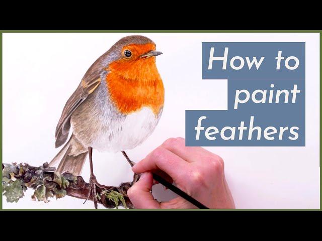 How to paint detailed feathers on a Robin bird - with Anna Mason