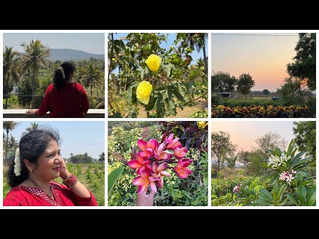 11 March 2025 Visiting friend’s garden,kanakpura! Nursery visit! Plant shopping 