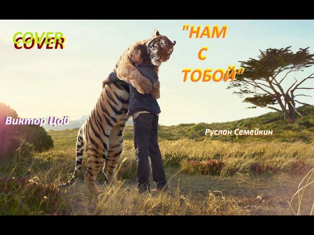 Руслан Семейкин (cover) "Нам с Тобой" Виктор Цой ~ КИНО