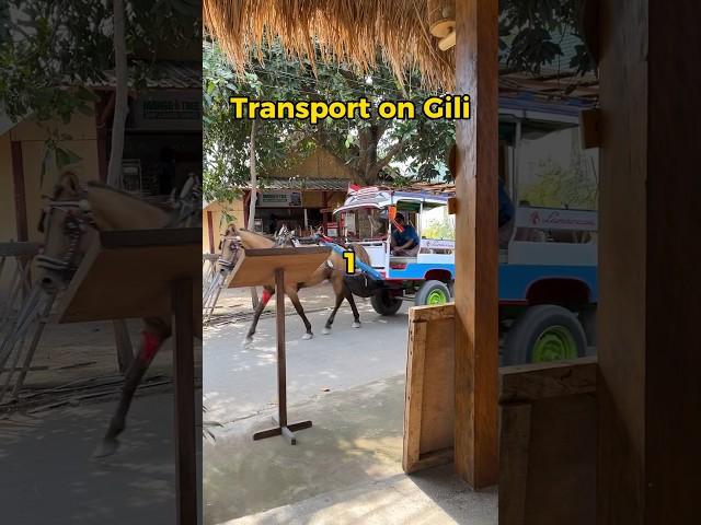 Full Gili VLOG on the channel. #indonesia #gili #giliair #asia #lombok #travel #explore #bali