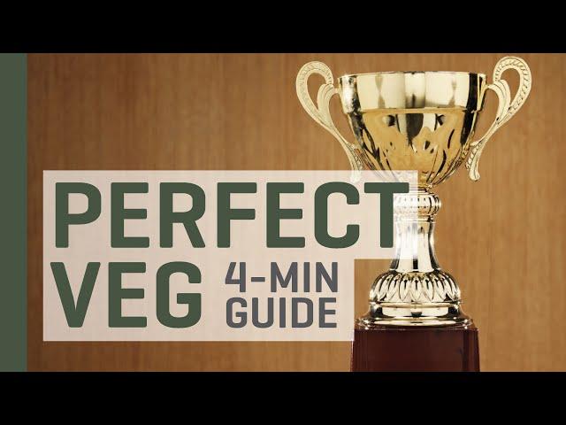 Create the Perfect Vegetative Period Indoors — 4 Minute Guide