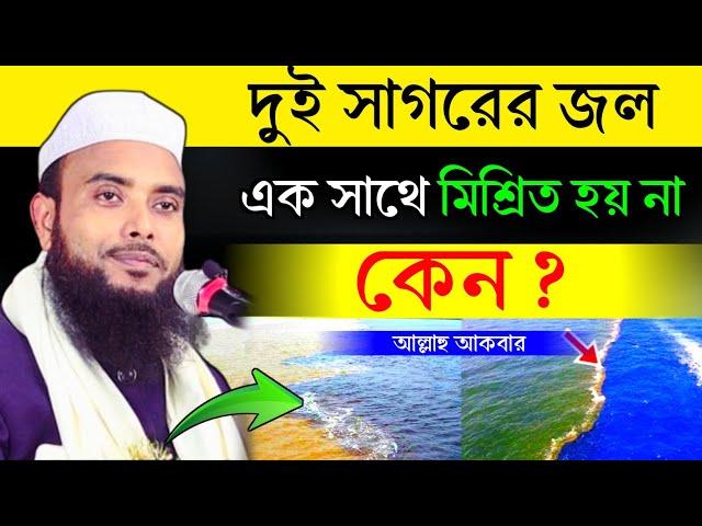 দুই সাগরের জল একসাথে মিশ্রিত হয় না কেন ┇ Mawlana Anamul Haque Waz ┇ Anamul Haque Waz