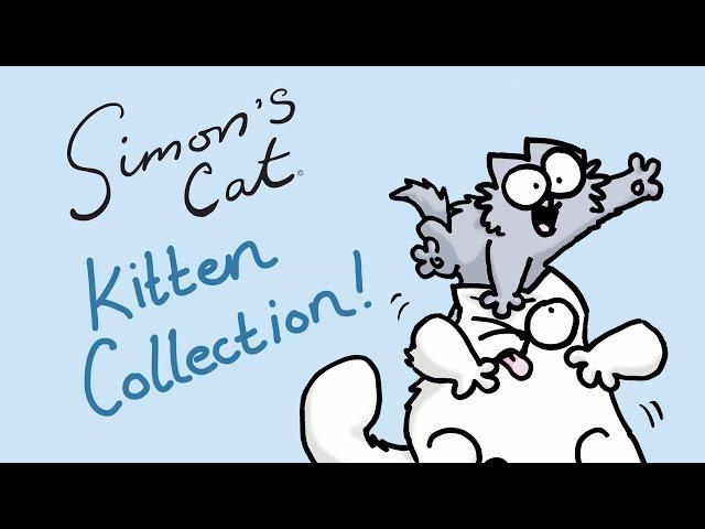 Kitten Chaos - Simon's Cat | COLLECTION