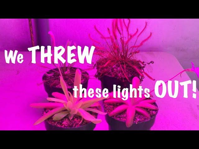 LED Lights for Tropical Carnivorous Plants