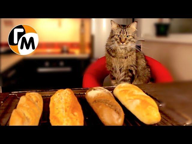 French Baguette IN NO TIME -- Hungry Guy Recipes, Episode 160