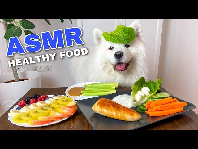 Dog Cooking And Eating Healthy Food