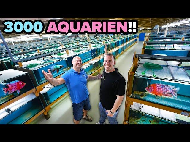 3000 AQUARIEN & 1.300.000 Liter!  - Wir besuchen das AQUAHAUS-GAUS!