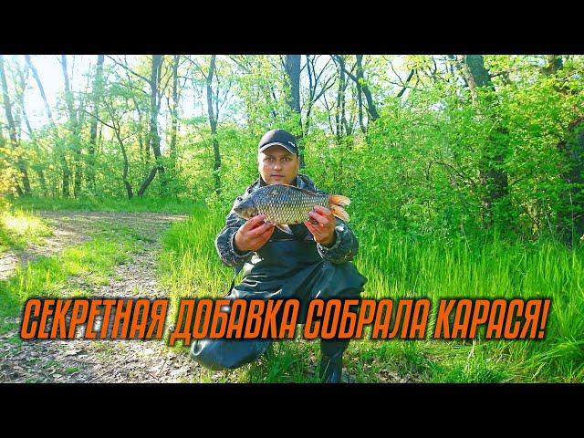 Ловля карася на Боковой Кивок и Поплавок.