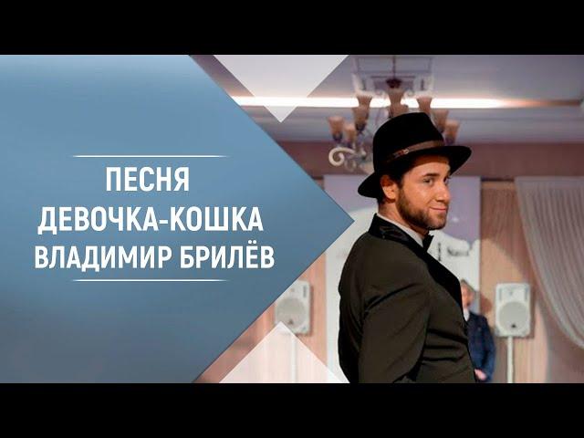 BRILEV - Девочка-кошка. | Владимир Брилёв. Лучший русский певец России. | Певец которого слушают.