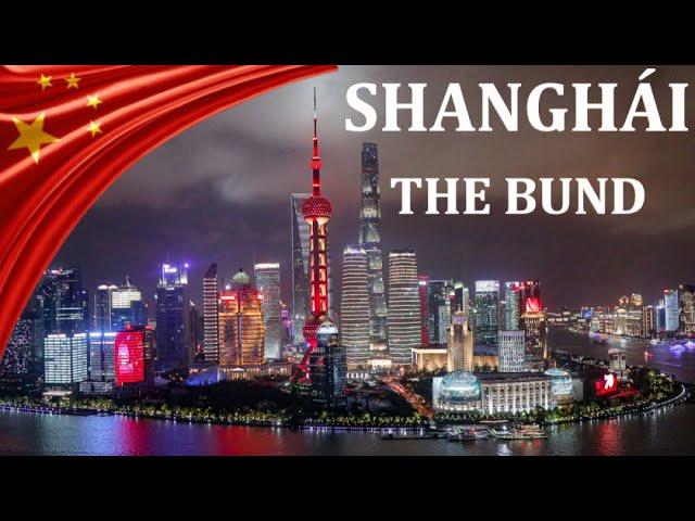 The Future of Humanity: An Inspiring Walk Through Shanghai City