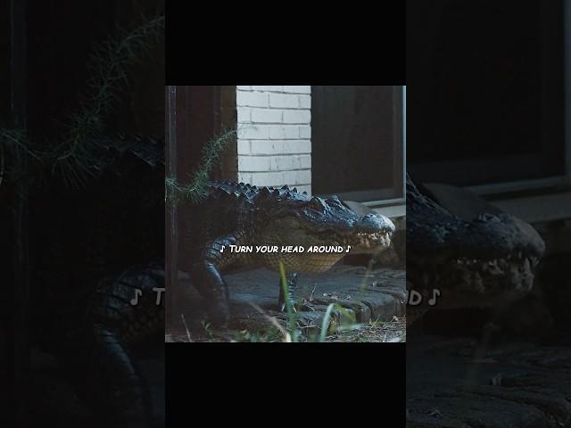 Have you heard the story of “Alligator man”? #movie #movieclips #atlanta Clip from Atlanta S2E1