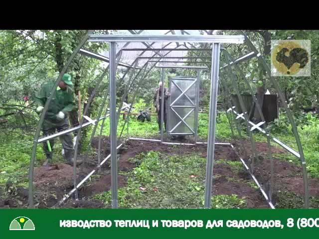 Выпуск программы "Загородная жизнь" о установке теплицы компании Воля