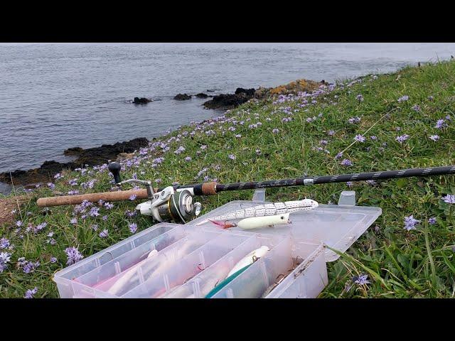 Plugging and Luerfishing Anglsey fishing north Wales. Sea fishing, no bait #seafishing #luerfishing