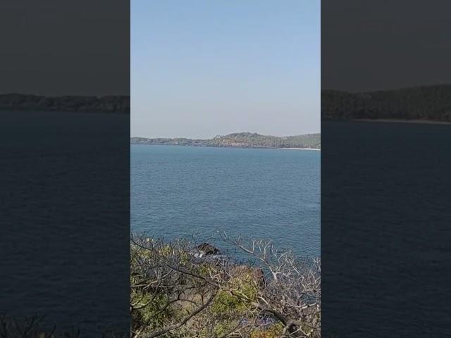 Cabo de rama fort beach beautiful view #video #goa #beachvibes #nature