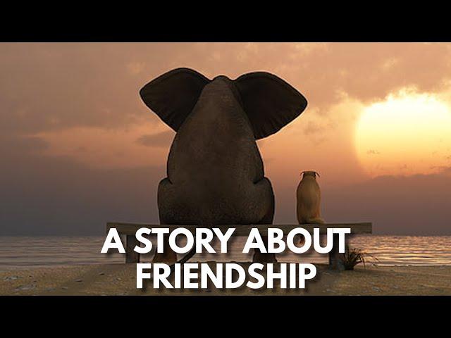 The Elephant and The Dog - ancient Indian story
