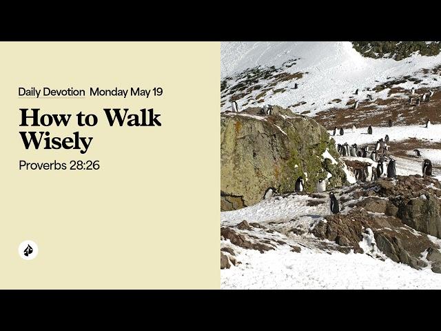 How to Walk Wisely – Daily Devotional