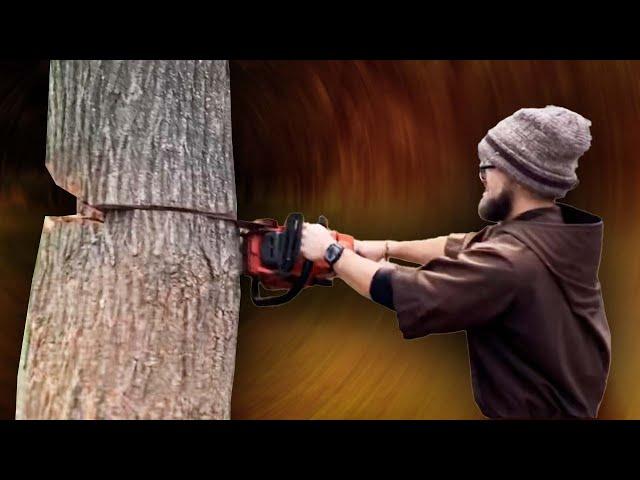 Capuchin Franciscan destroys a tree!