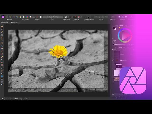 Affinity Photo Tutorial How to Make a Color Splash Effect - Black and White Background