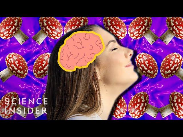 How Magic Mushrooms Affect Your Brain