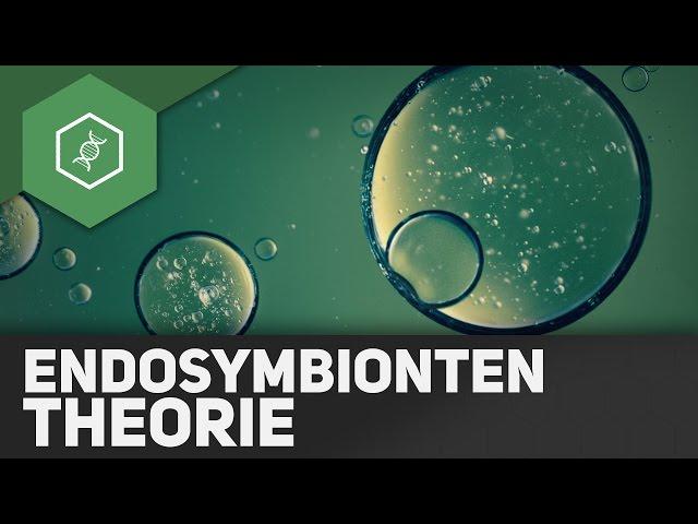 Endosymbiontentheorie