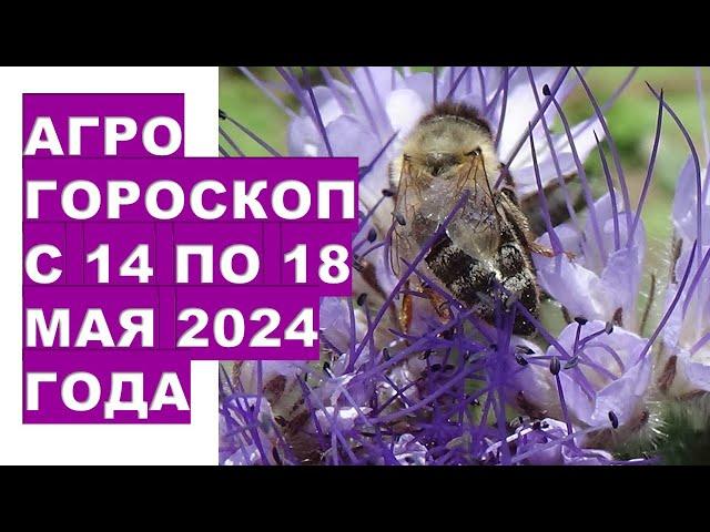 Агрогороскоп с 14 по 18 мая 2024 года Agrohoroscope from May 14 to 18, 2024