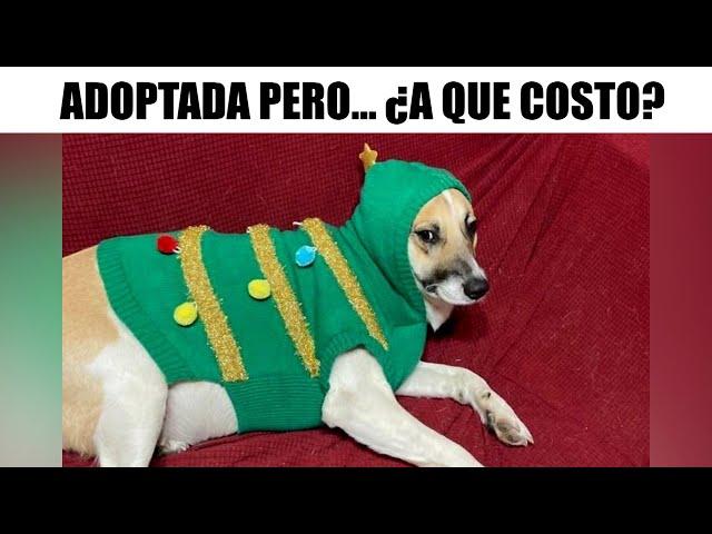 MEMES DE NAVIDAD #6