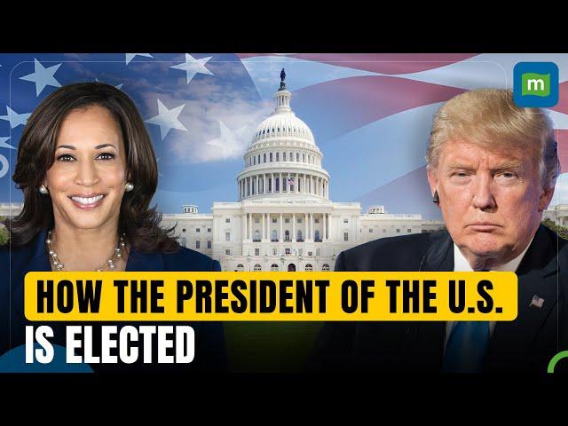 Understanding U.S. Presidential Election Process: From Ballots to Electoral College Explained | N18G