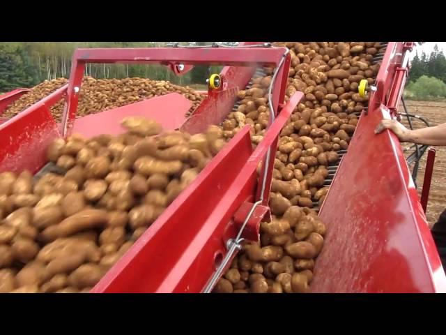 SPUDNIK 3 ROW HARVESTER HOLDING TANK