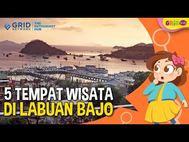 5 Tempat Wisata di Labuan Bajo yang Wajib Dikunjungi - Fakta Menarik