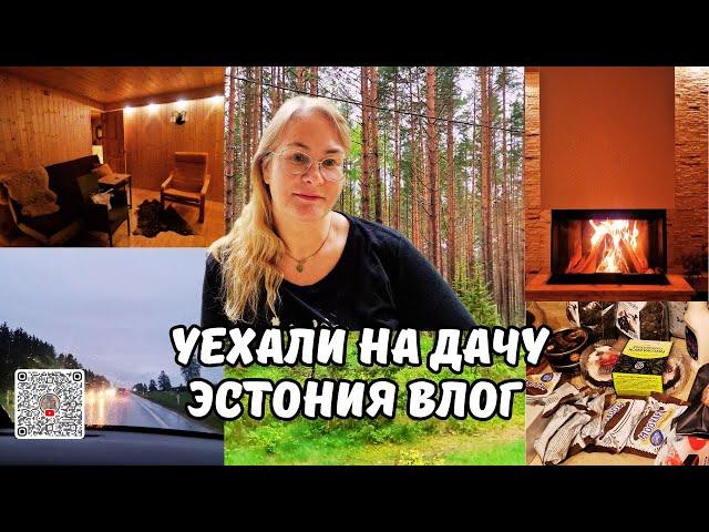 Машина не завелась,но мы всё равно уехали на дачу открывать дачный сезон 2025!что привезли на дачу?