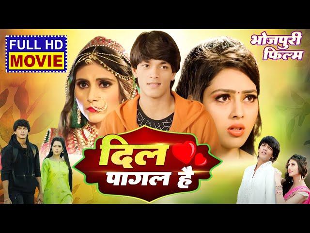 DIL PAGAL HAI I दिल पागल है  I SUPERHIT BHOJPURI MOVIE 2024- Ego Prem Deewani Ego Daras Deewani