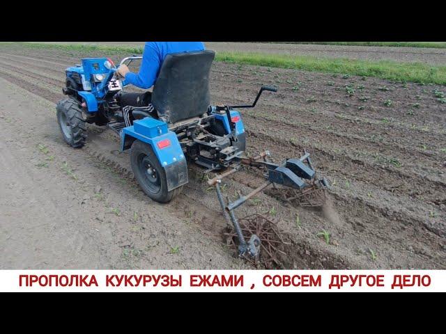 ПРОПОЛКА 40 СОТОК МОТОБЛОКОМ, НОВЫЙ СПОСОБ ИСПОЛЬЗОВАЛ ЕЖИ  /WEEDING CORN